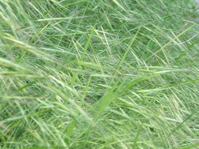 20090513.JPG