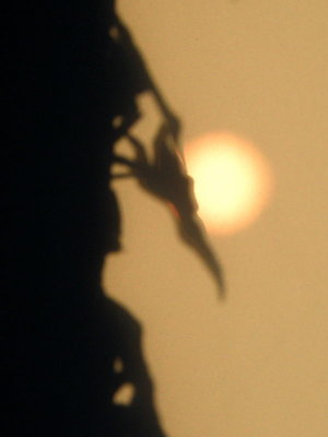 20090531.JPG