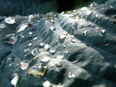 20090617.JPG
