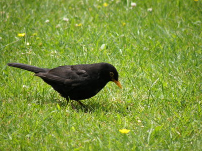 20090624.JPG