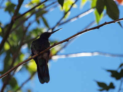 20130903.jpg
