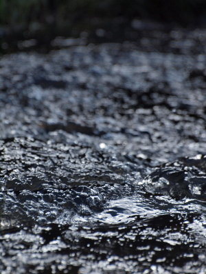 20130913.jpg