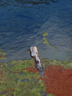 20130915.jpg