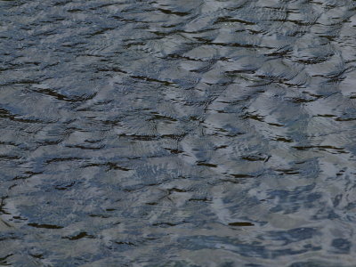 20130919.jpg