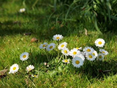 20130920.jpg