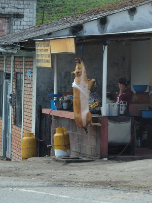 20130924.jpg