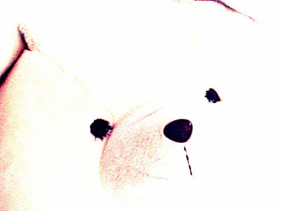 20130925.jpg