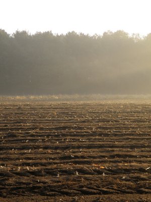 20081007.JPG