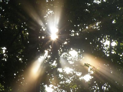 20081010.JPG