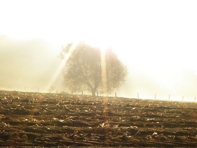 20081015.JPG