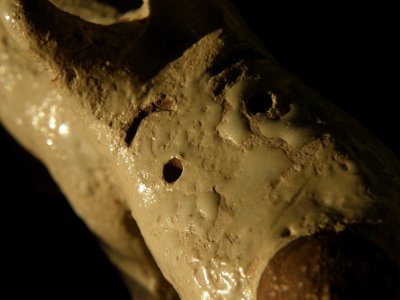 20081017.JPG