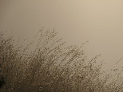 20081028.JPG