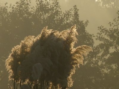 20081029.JPG