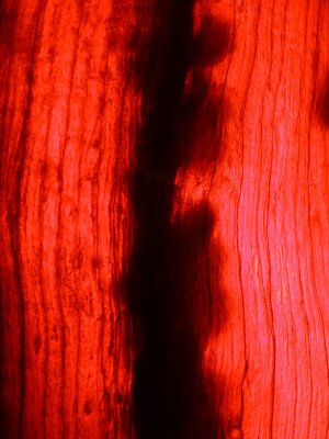 20081031.JPG