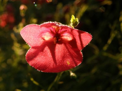 20081113.JPG