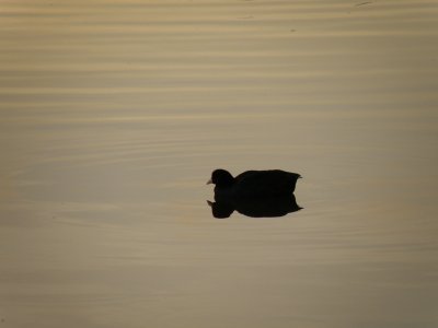 20081117.JPG