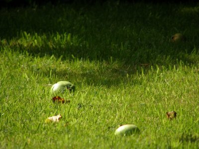20081118.JPG