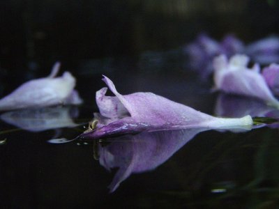 20081120.JPG