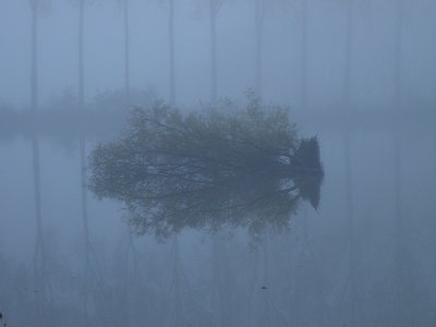 20081123.JPG