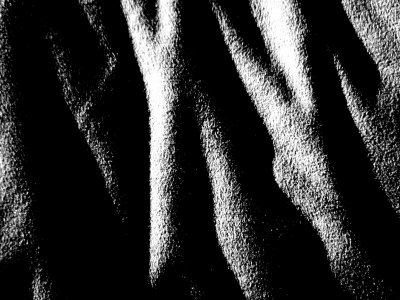 20081125.JPG