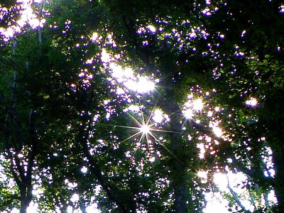 20081205.JPG