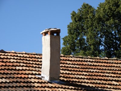 20081206.JPG