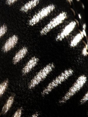 20081209.JPG