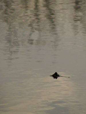 20081210.JPG