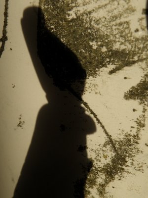 20081215.JPG