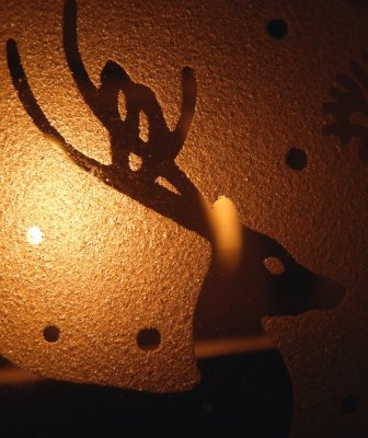 20081220.JPG
