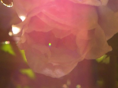 20081222.JPG