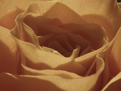 20081227.JPG