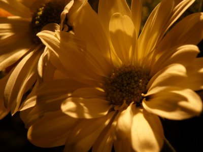 20081229.JPG