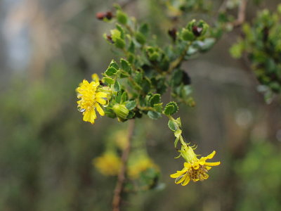 20131012.jpg