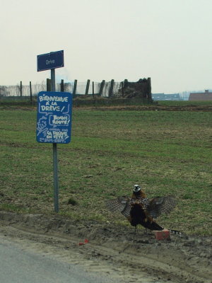 20131013.jpg