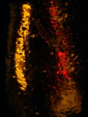 20080425.JPG