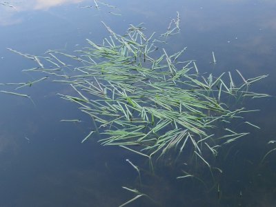 20080428.JPG