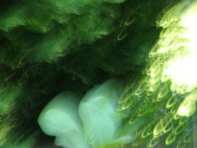 20080520.JPG