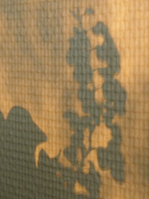 20080522.JPG