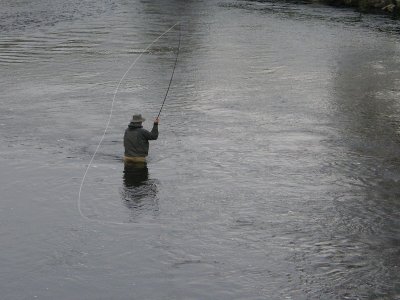 20080611.JPG