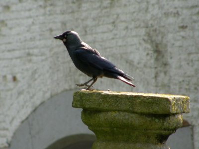 20080629.JPG