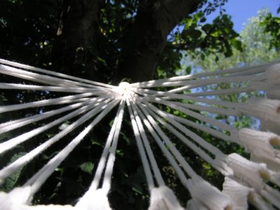 20070408.JPG
