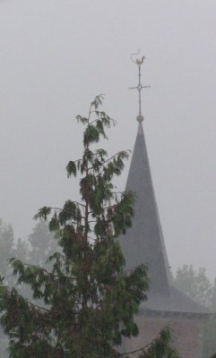 20070409.JPG
