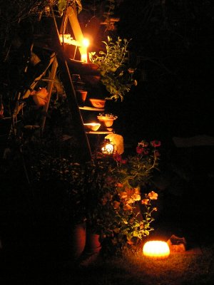 20070415.JPG