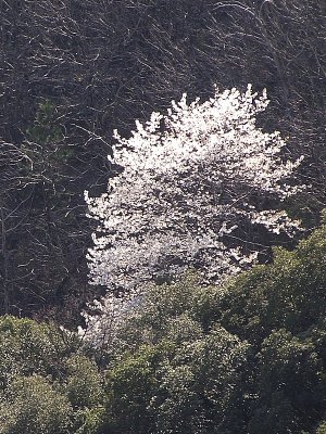 20070416.JPG