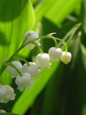 20070501.JPG