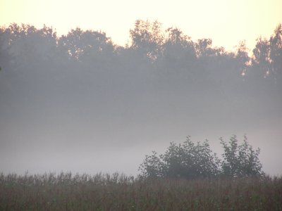 20070503.JPG