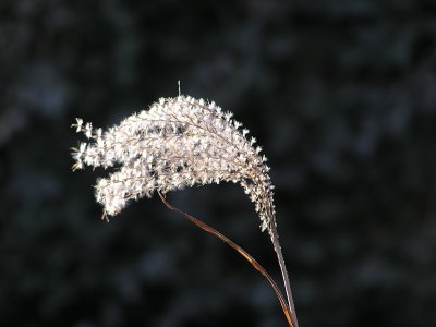 20070516.JPG