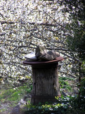 20070602.JPG
