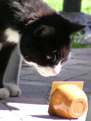 20070606.JPG